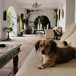 Hotel Hacienda De Mare Olimp