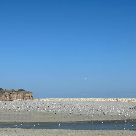 Hacienda De Mare