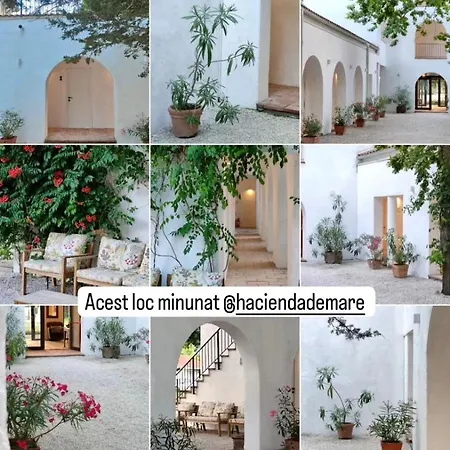 Hacienda De Mare ホテル