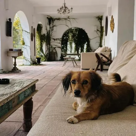 فندق Hacienda De Mare أوليمبْ