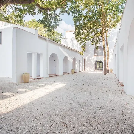 Hacienda De Mare オリンプ