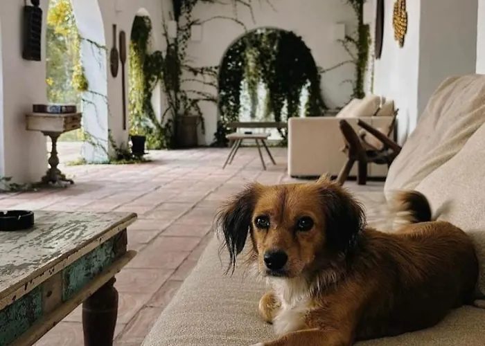 Hotel Hacienda De Mare Olimp